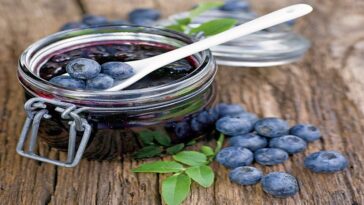 Μαρμελάδα με μύρτιλα (Blueberries)
