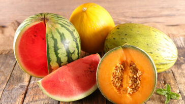 Assorted Melon And Watermelon