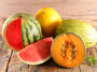 Assorted Melon And Watermelon