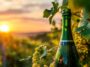 Vintage Dreams: Sunset Serenade With Classic Champagne