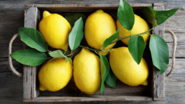 Directly Above Photo Of Organic Lemons With Leaves On Wooden Board In A Box