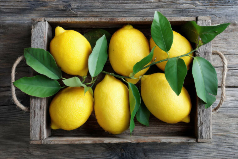 Directly Above Photo Of Organic Lemons With Leaves On Wooden Board In A Box
